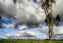 英格兰足总杯半决赛对阵：水晶宫vs维拉，森林vs曼城.